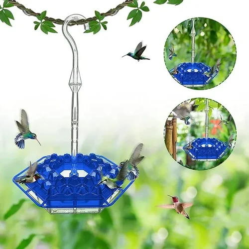 Olygee Sweety Hummingbird Feeder