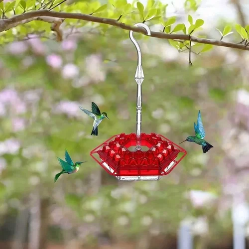 Olygee Sweety Hummingbird Feeder