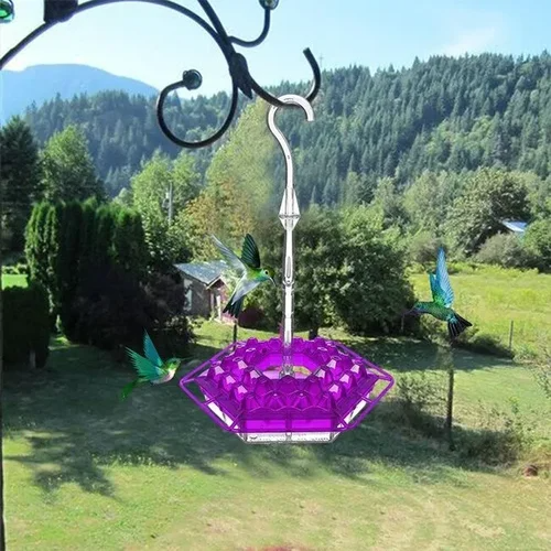 Olygee Sweety Hummingbird Feeder